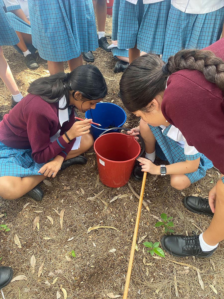Catherine McAuley Students on an excursion to the wetlands.