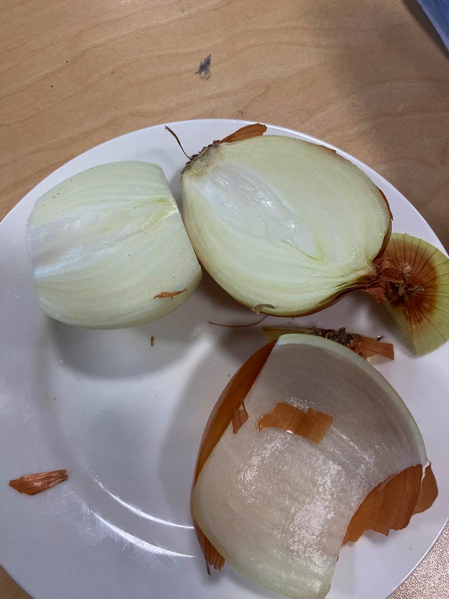 An onion, cut in half, with layers removed.