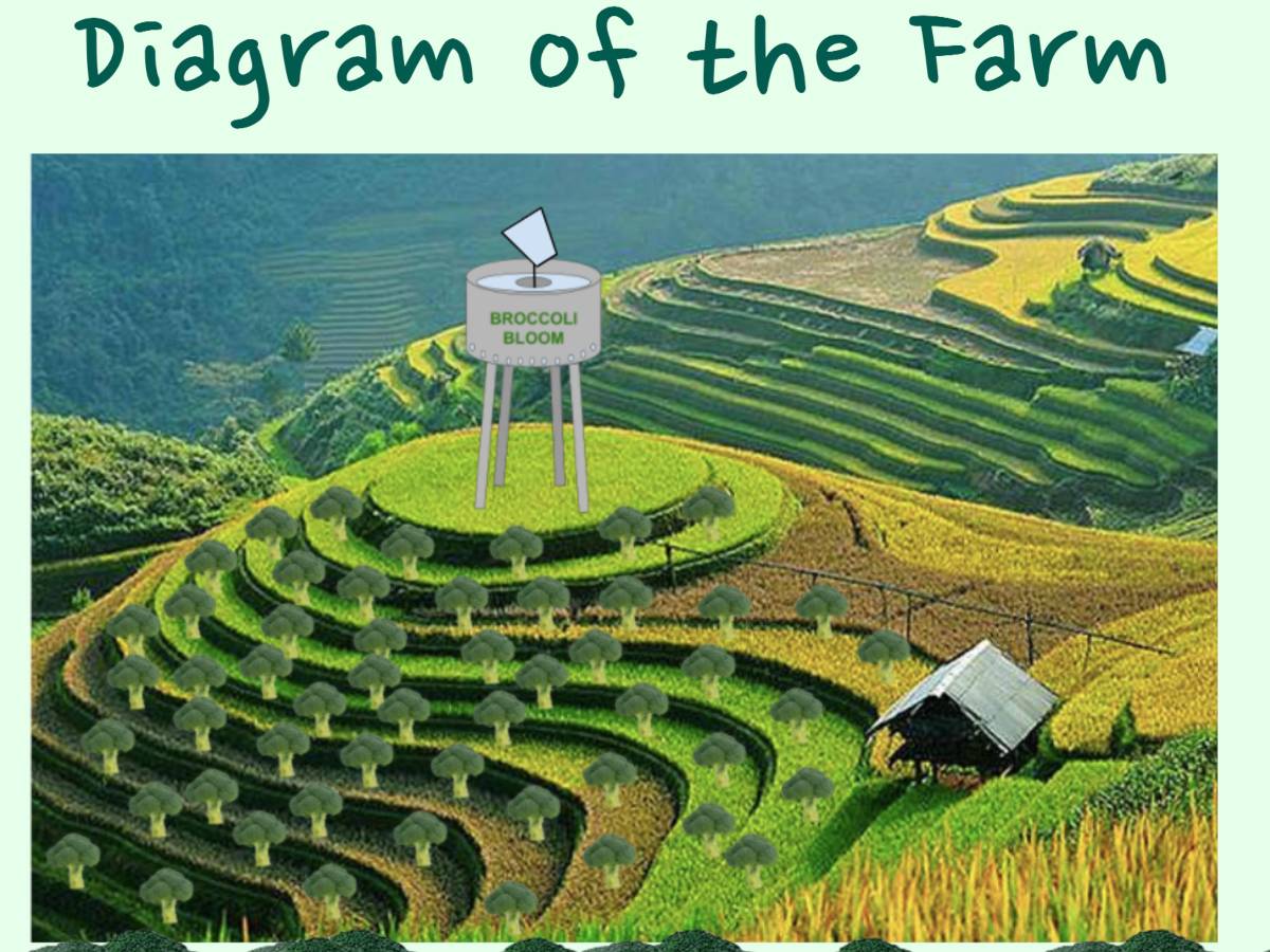 2020geographyfarm02