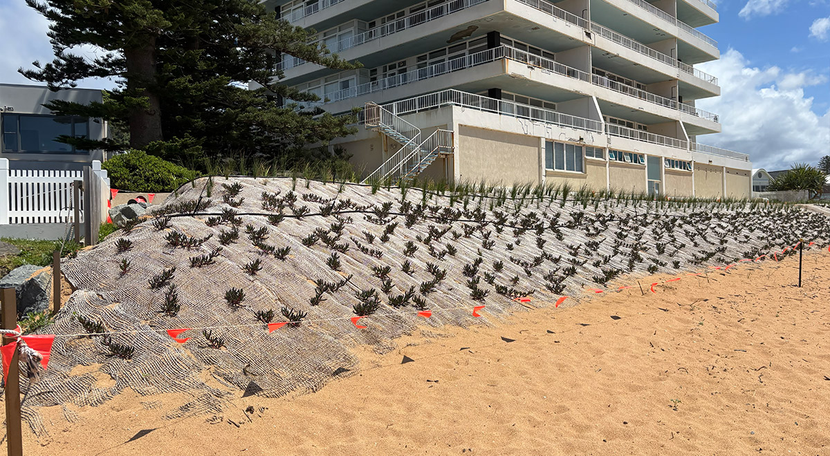 Collaroy Beach