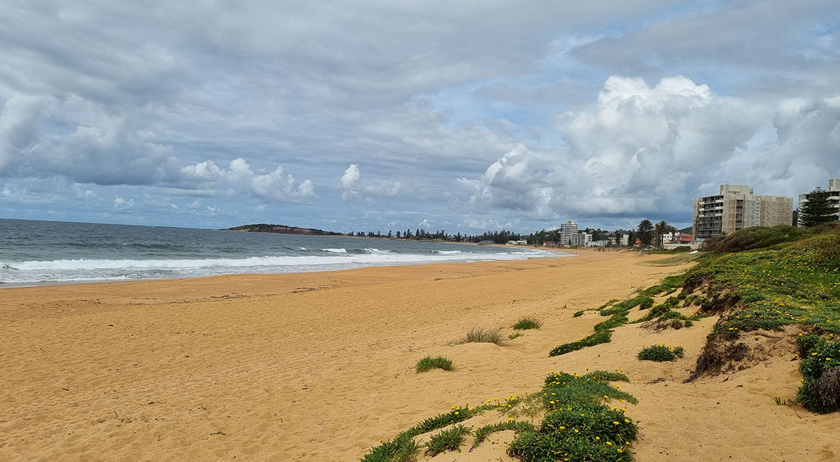 Catherine McAuley Westmead students on Collaroy Beach excursion