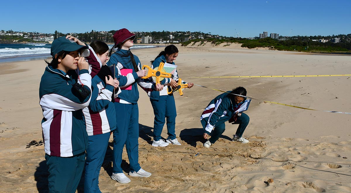 Year 10 Geography students conducting fieldwork at Long Reef and Collaroy beaches.