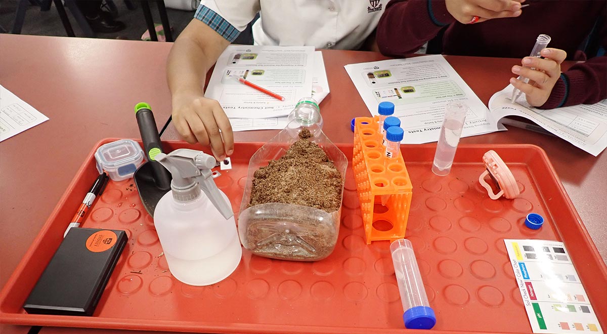 Close up of the soil and testing vials