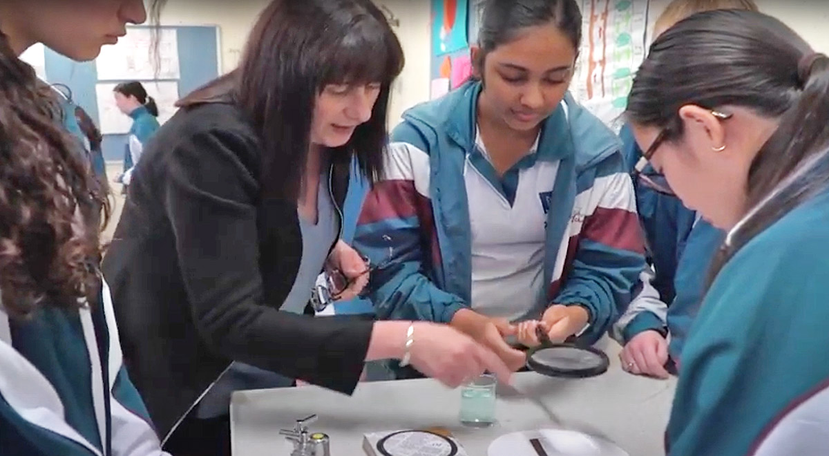 Take a virtual tour of Catherine McAuley Catholic College Westmead