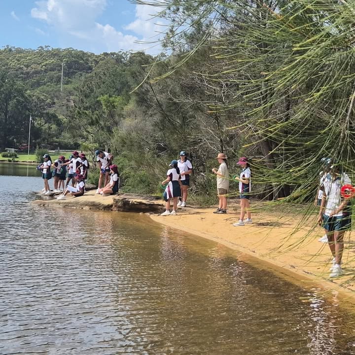 571904604499888_1586616779695327-1